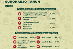 Indeks Pembangunan Manusia (1080 x 1080 piksel) - 9