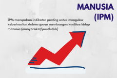 IPM  - 1
