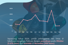 Infografis Diskominfo - 13